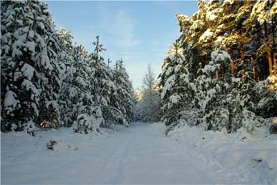 《赛博朋克2077》飞行汽车MOD来了